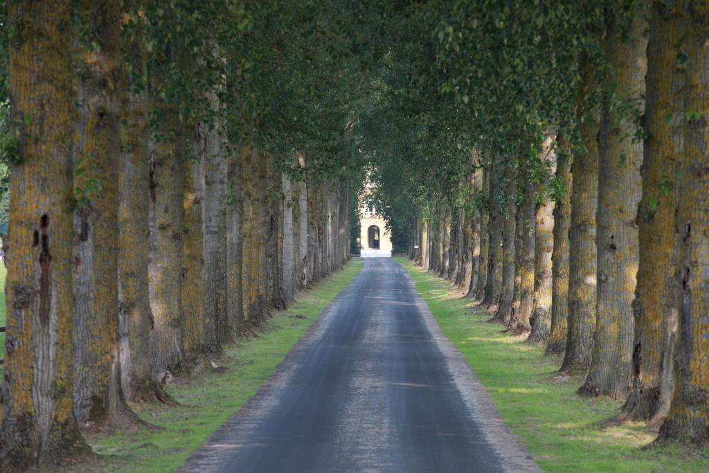Le Domaine Chateau Du Faucon Donchery Екстер'єр фото