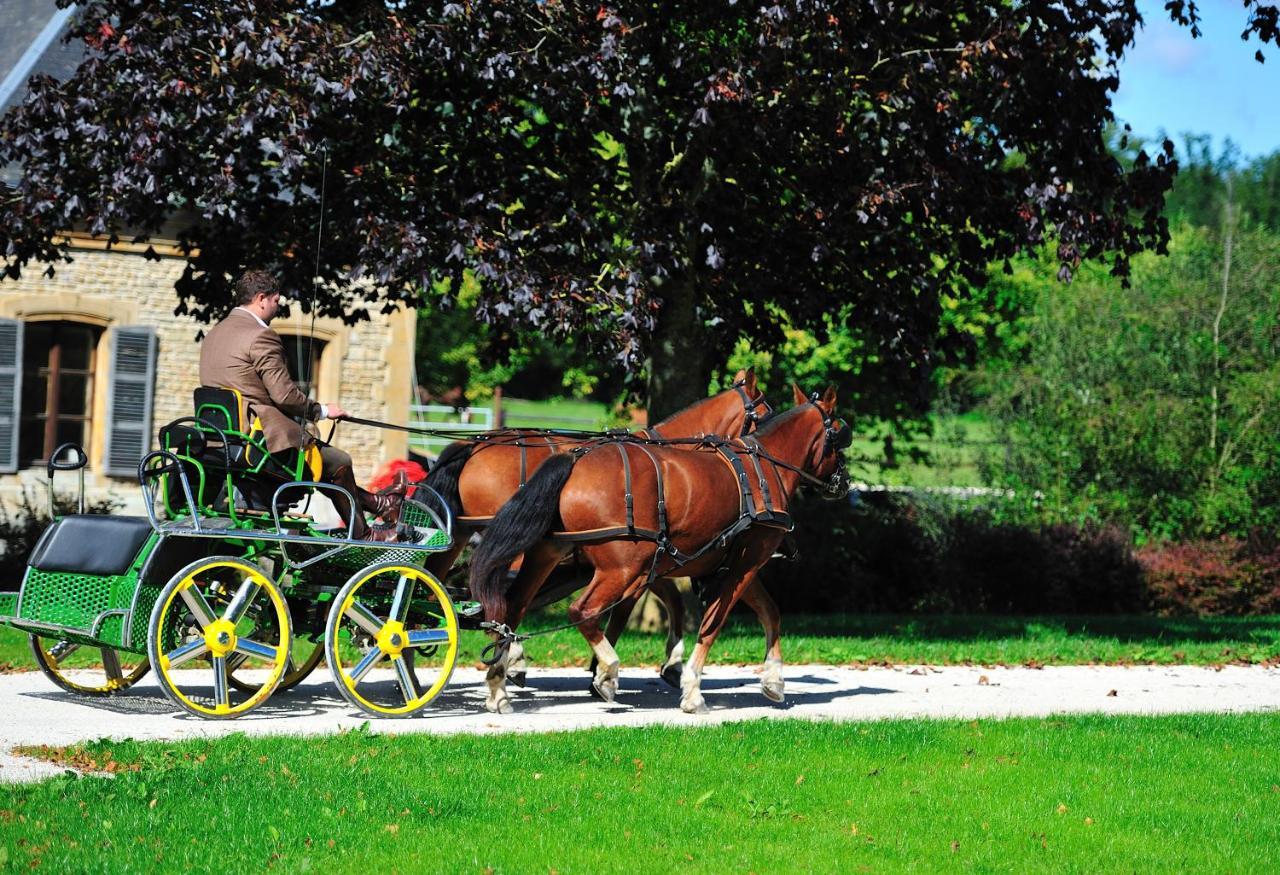 Le Domaine Chateau Du Faucon Donchery Екстер'єр фото